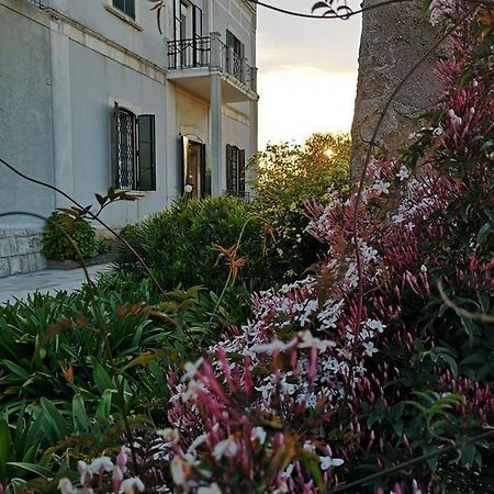 B&B Villa Maria Giovinazzo Ngoại thất bức ảnh