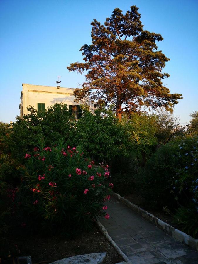 B&B Villa Maria Giovinazzo Ngoại thất bức ảnh
